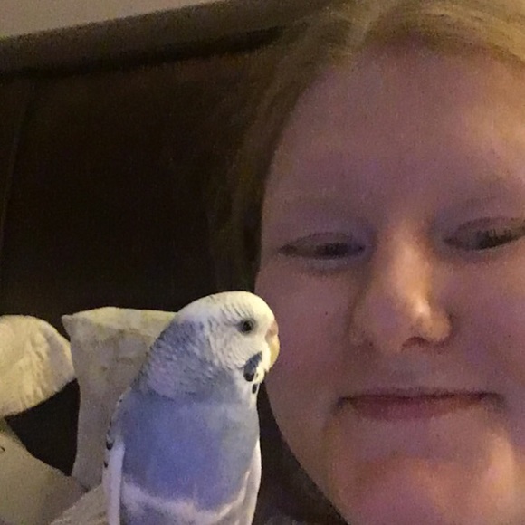 Meet your Posher, Abigayle - Picture 4 of 8